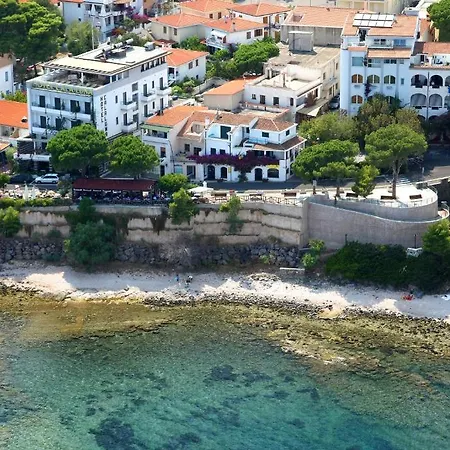 Acacia Кала-Гононе